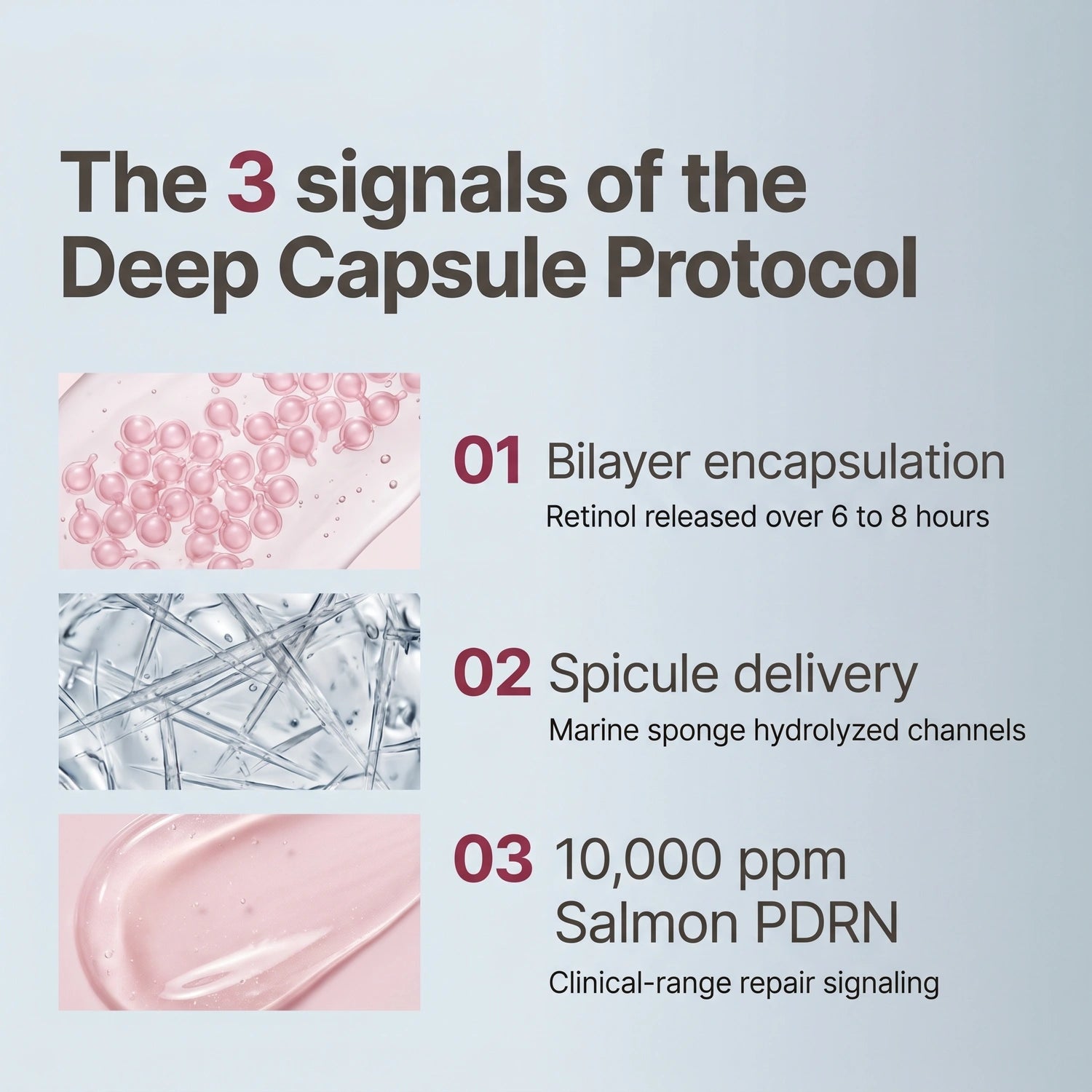 The 3 signals of the Deep Capsule Protocol · Bilayer encapsulation + Spicule delivery + 10,000 ppm Salmon PDRN
